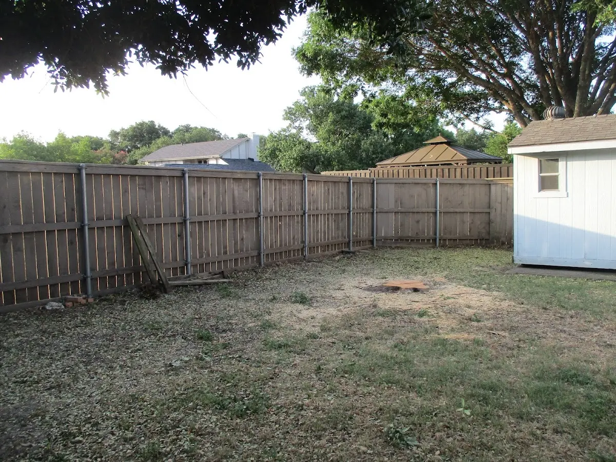 Cleared yard after professional tree removal in West Hyannisport